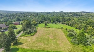 Hayfield - could be horse pasture