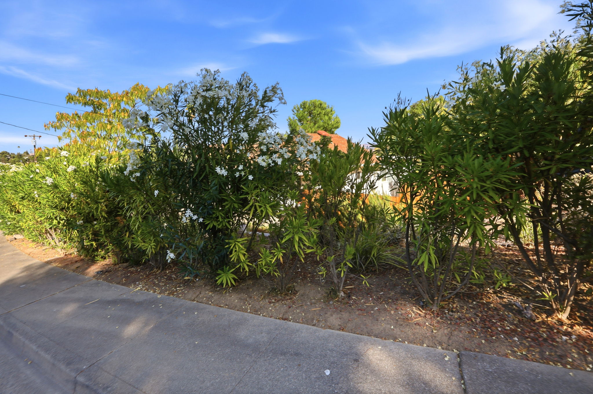 002_F8_577 Vili Way