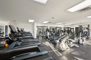 Midnight Pass Rd-2011-908.jpg