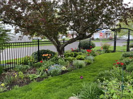  Photo 46