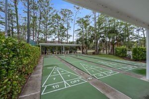 Shuffleboard