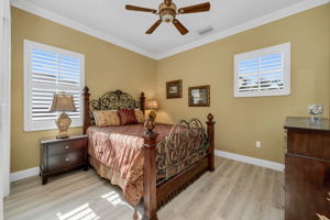 Guest Bed