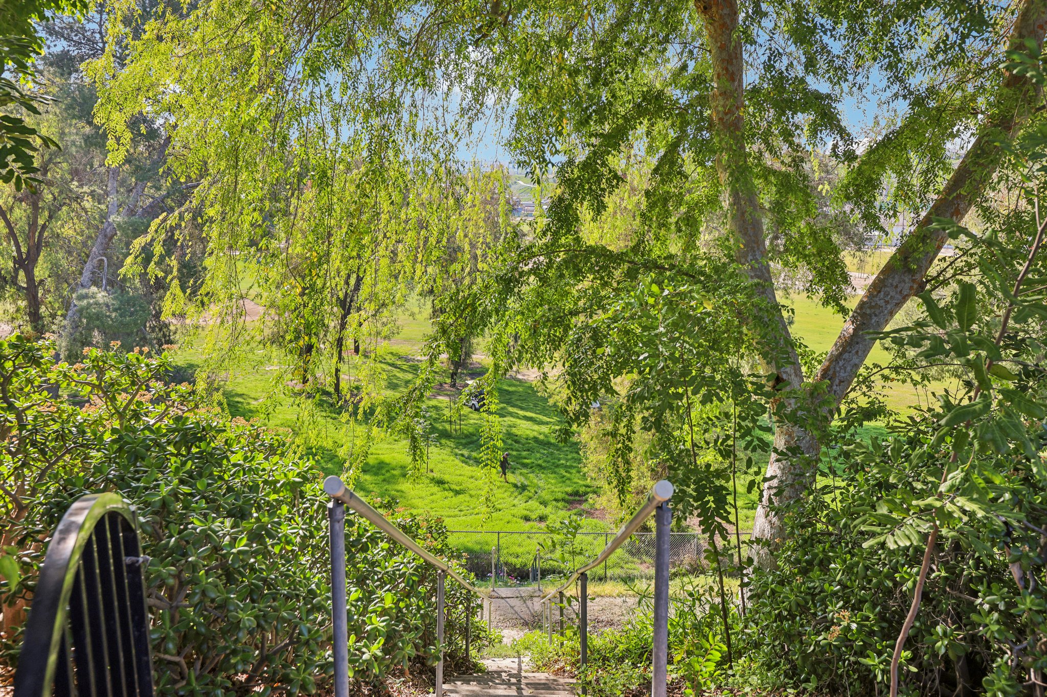 Golden Prados Dr-S2702-036.jpg