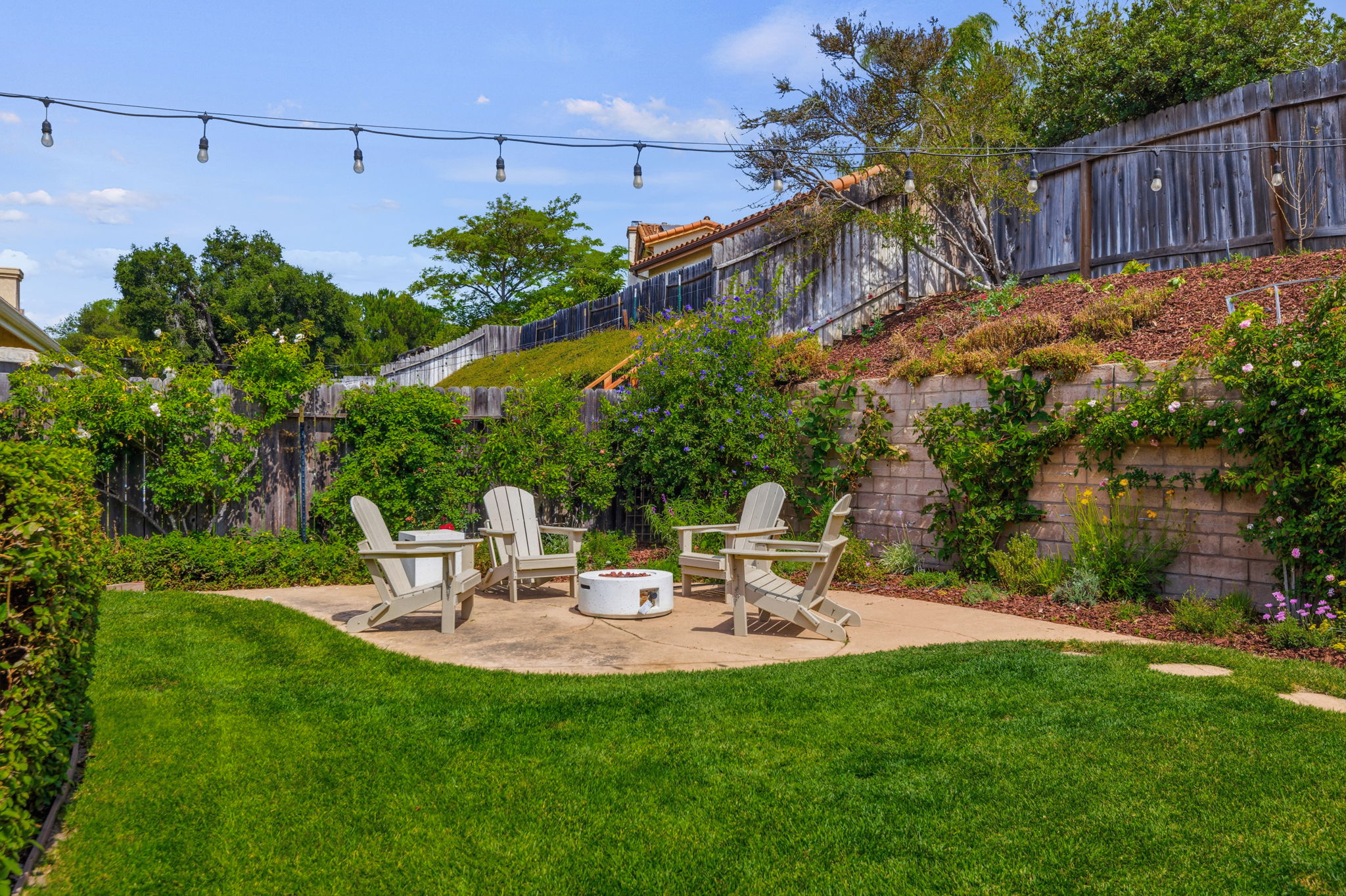 33-Back Yard