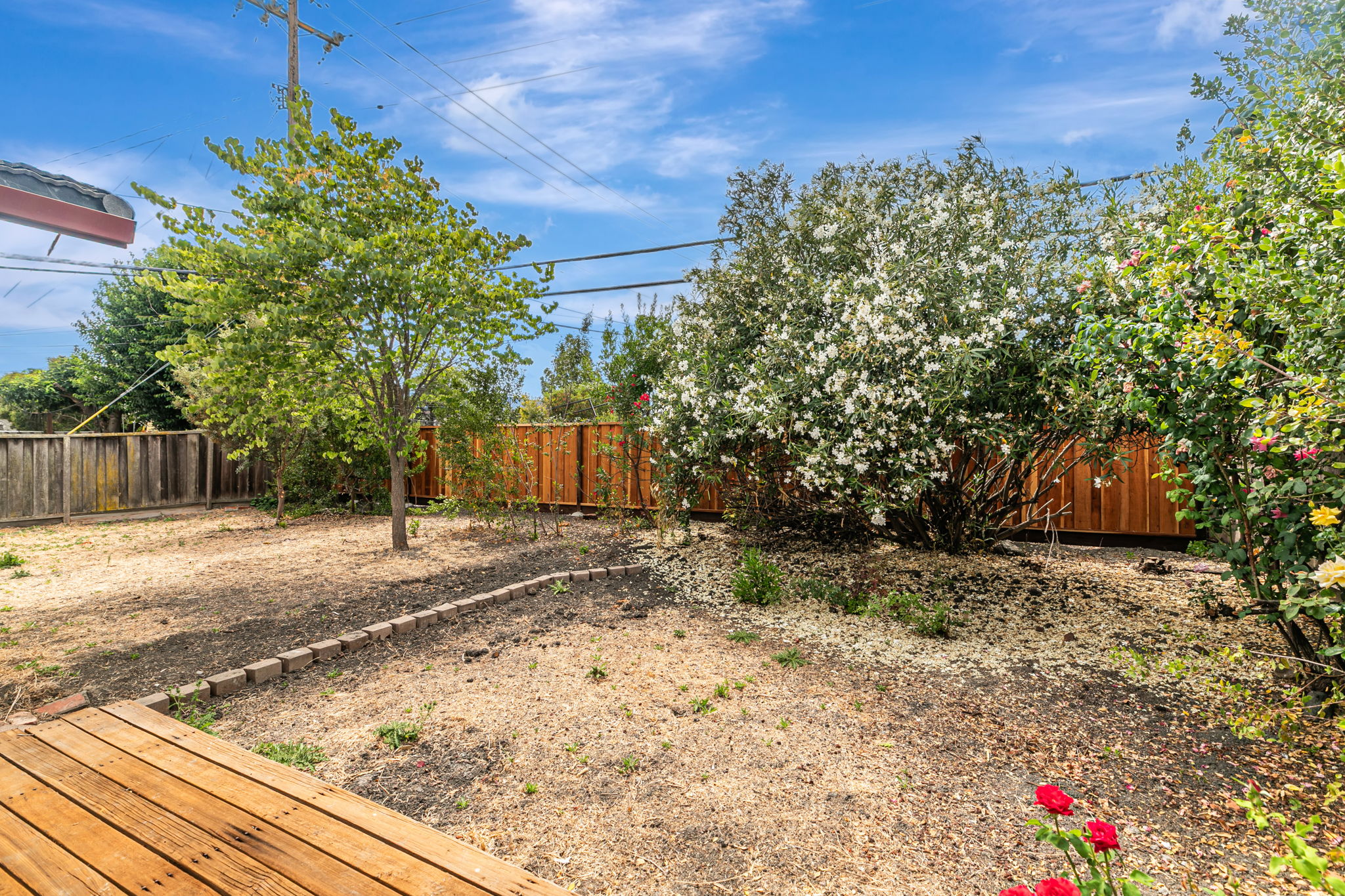 Backyard View