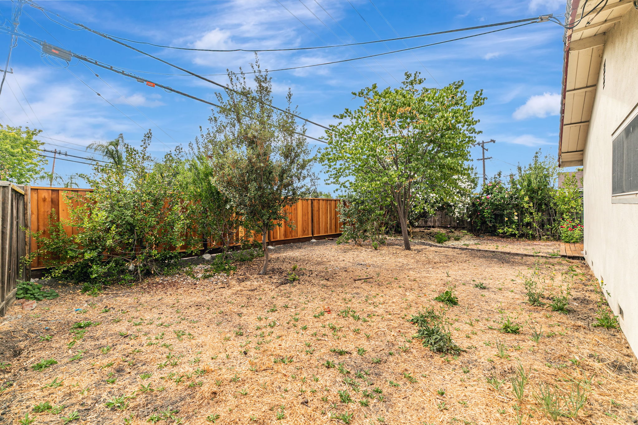 Backyard view 2