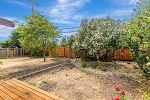 Backyard View