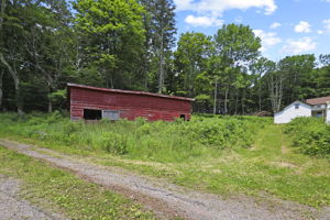  Photo 43