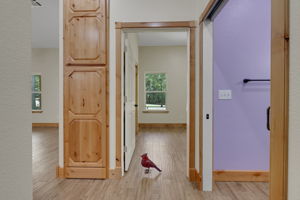  Photo 30