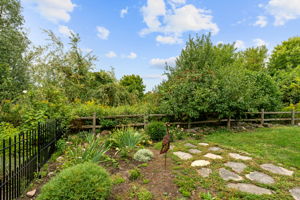  Photo 48