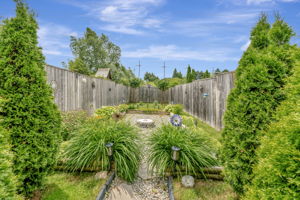  Photo 49