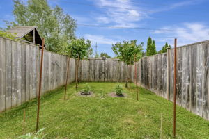  Photo 52