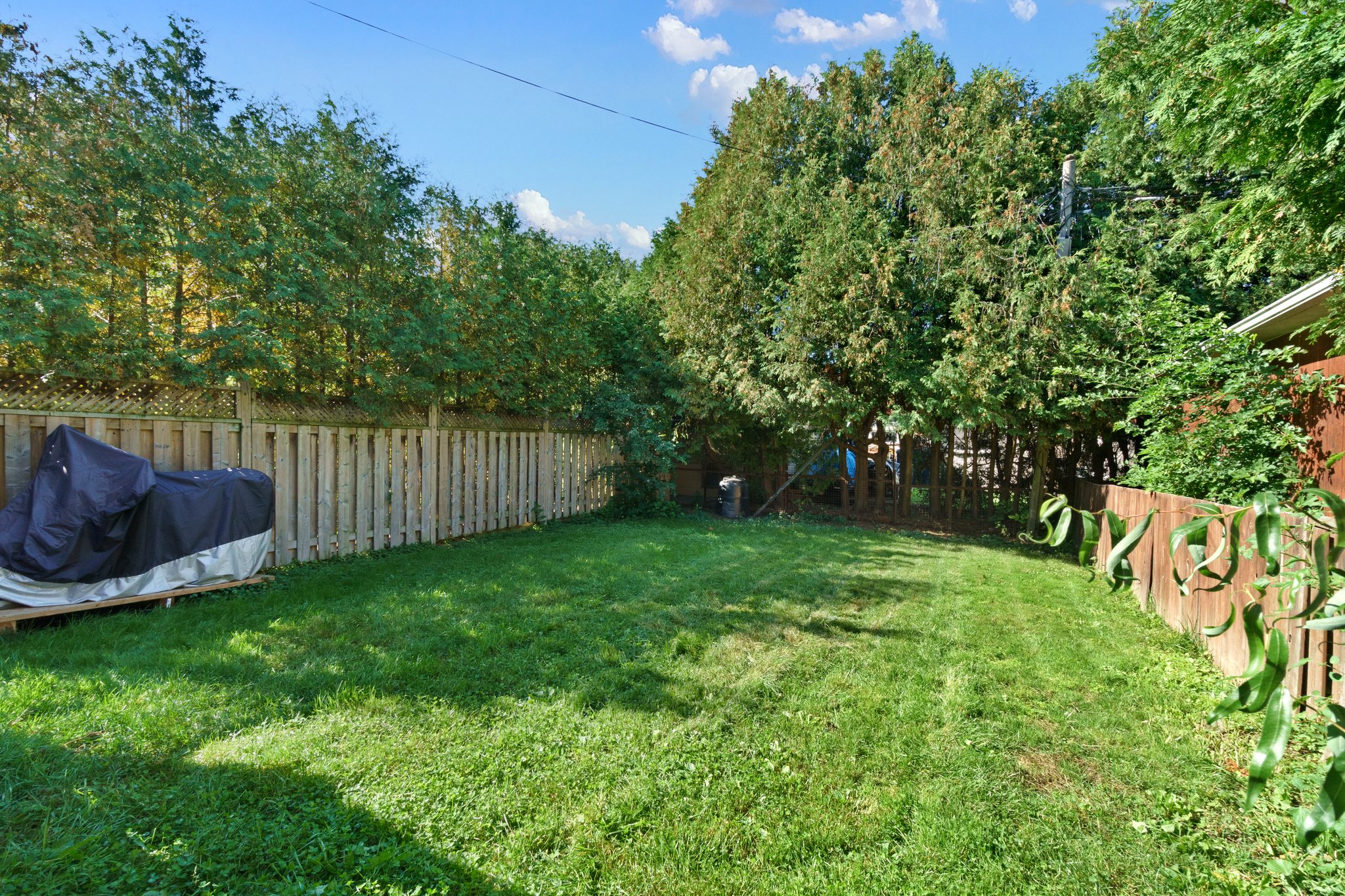 Toronto property showcase — delivered property photograph 29