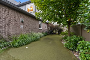  Photo 51