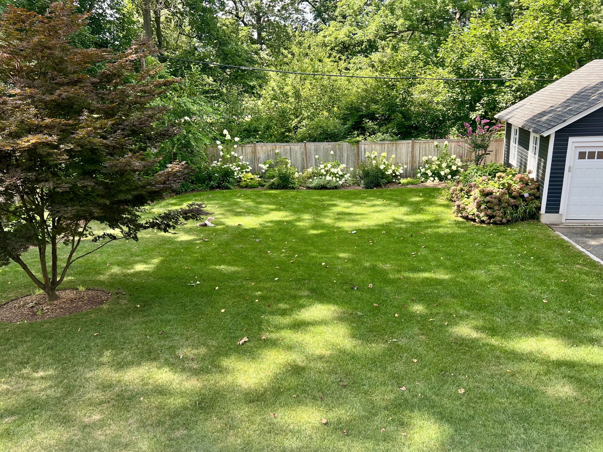 Summer view of the fully fenced perennial garden.