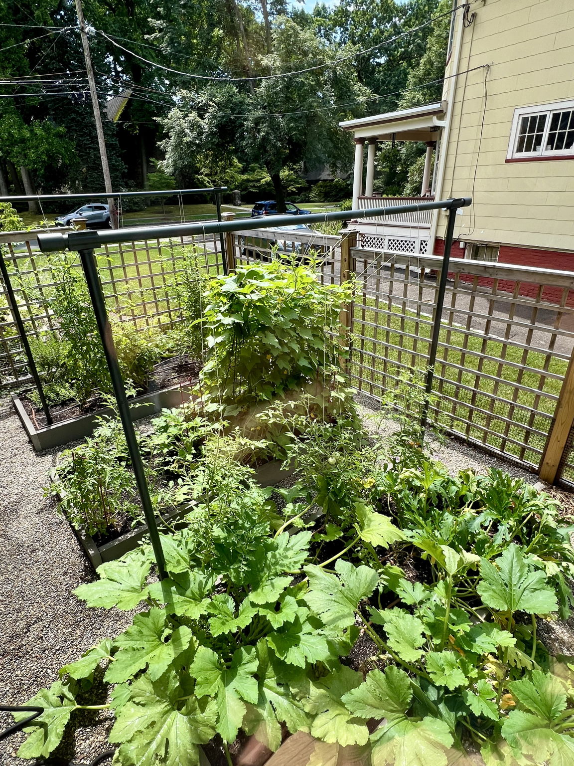 From farm to table! Your own vegetable garden right outside the dining room window. Easy Pesto recipe: Blend 2 cups of basil, ½ cup Parmesan, ⅓ cup toasted pine nuts, 3 garlic cloves, and a drizzle of lemon juice, then slowly stream in ½ cup of olive oil while processing until smooth—season with salt and pepper, and enjoy on pasta, sandwiches, or as a dip!