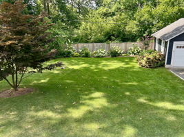 Summer view of the fully fenced perennial garden.