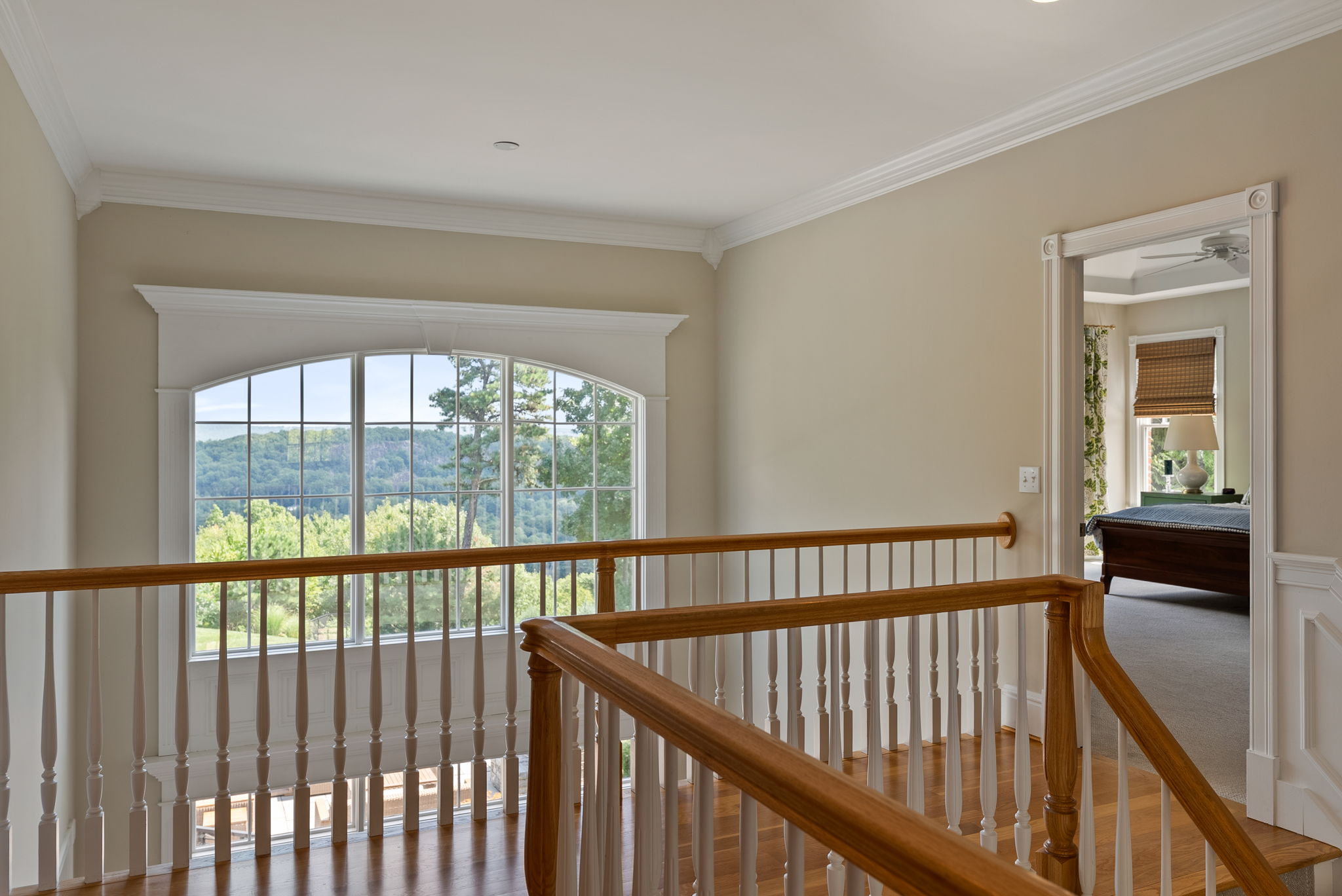  Photo 50