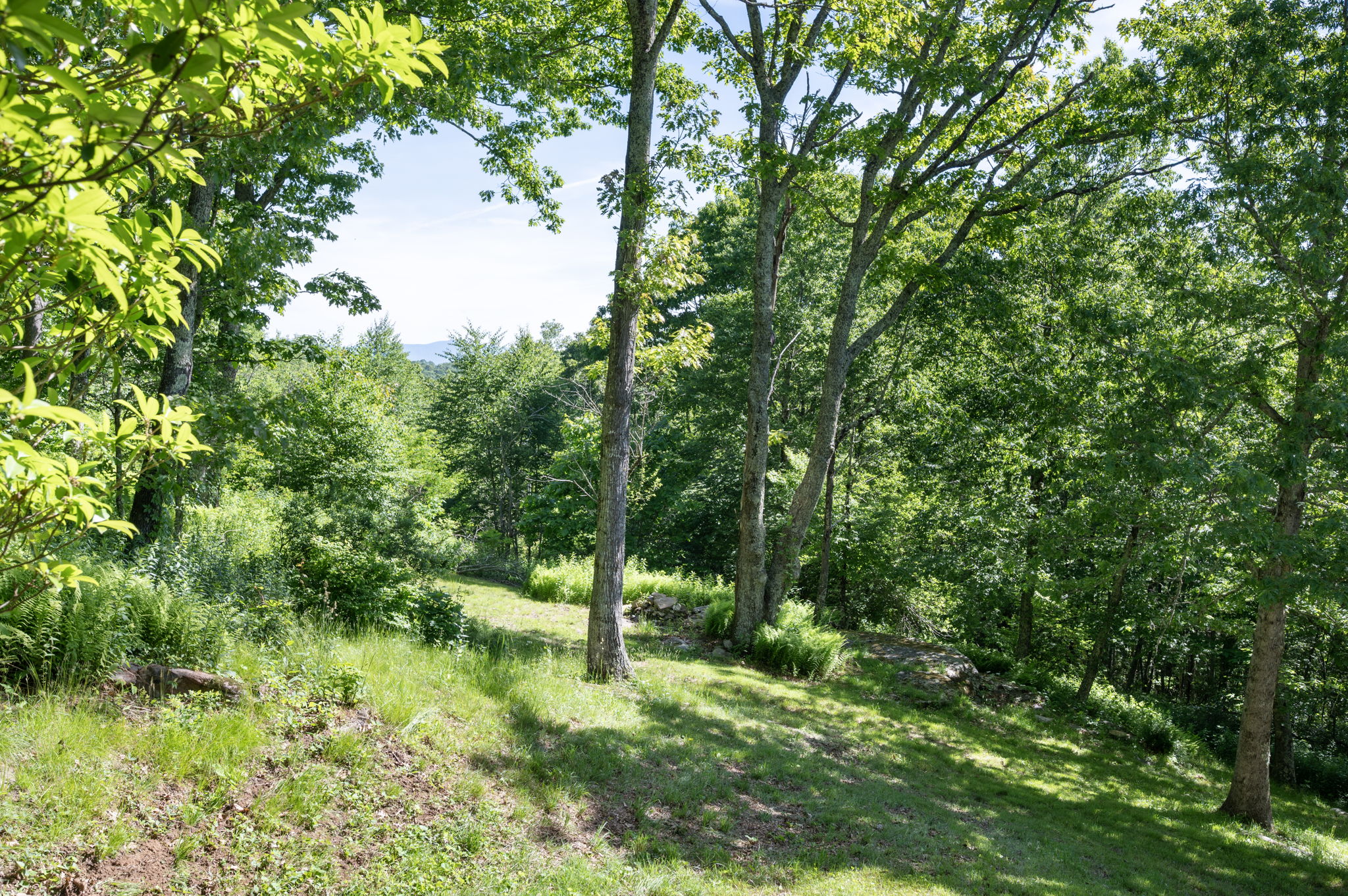  Photo 47
