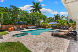 Spa and Pool with Sunshelf