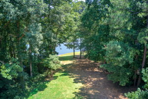 59 Aerial Back Yard w Lake View