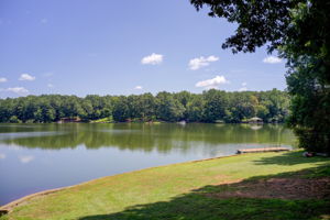 60 Aerial Shoreline w Dock + Lake Dow View