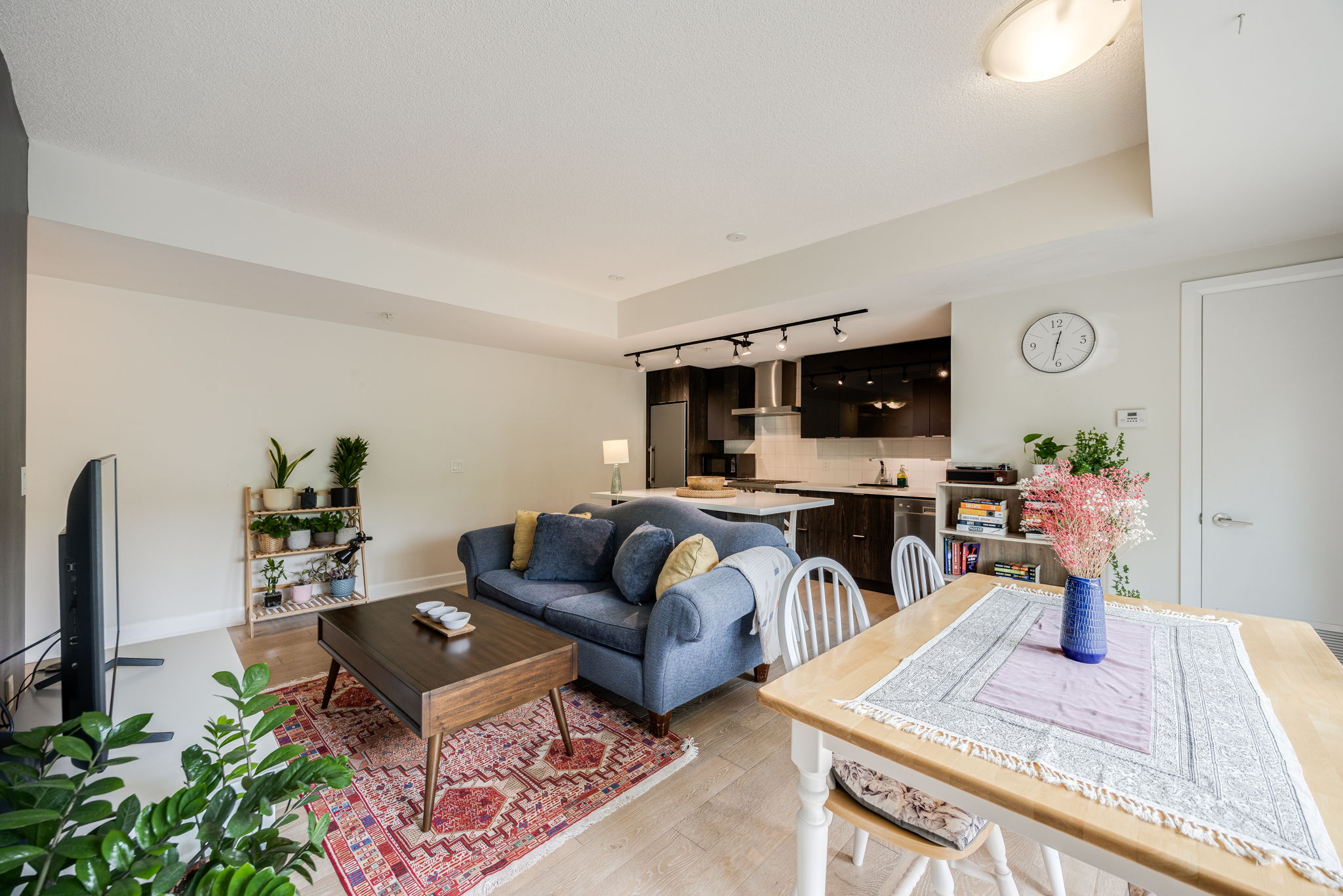 Toronto property showcase — delivered property photograph 16