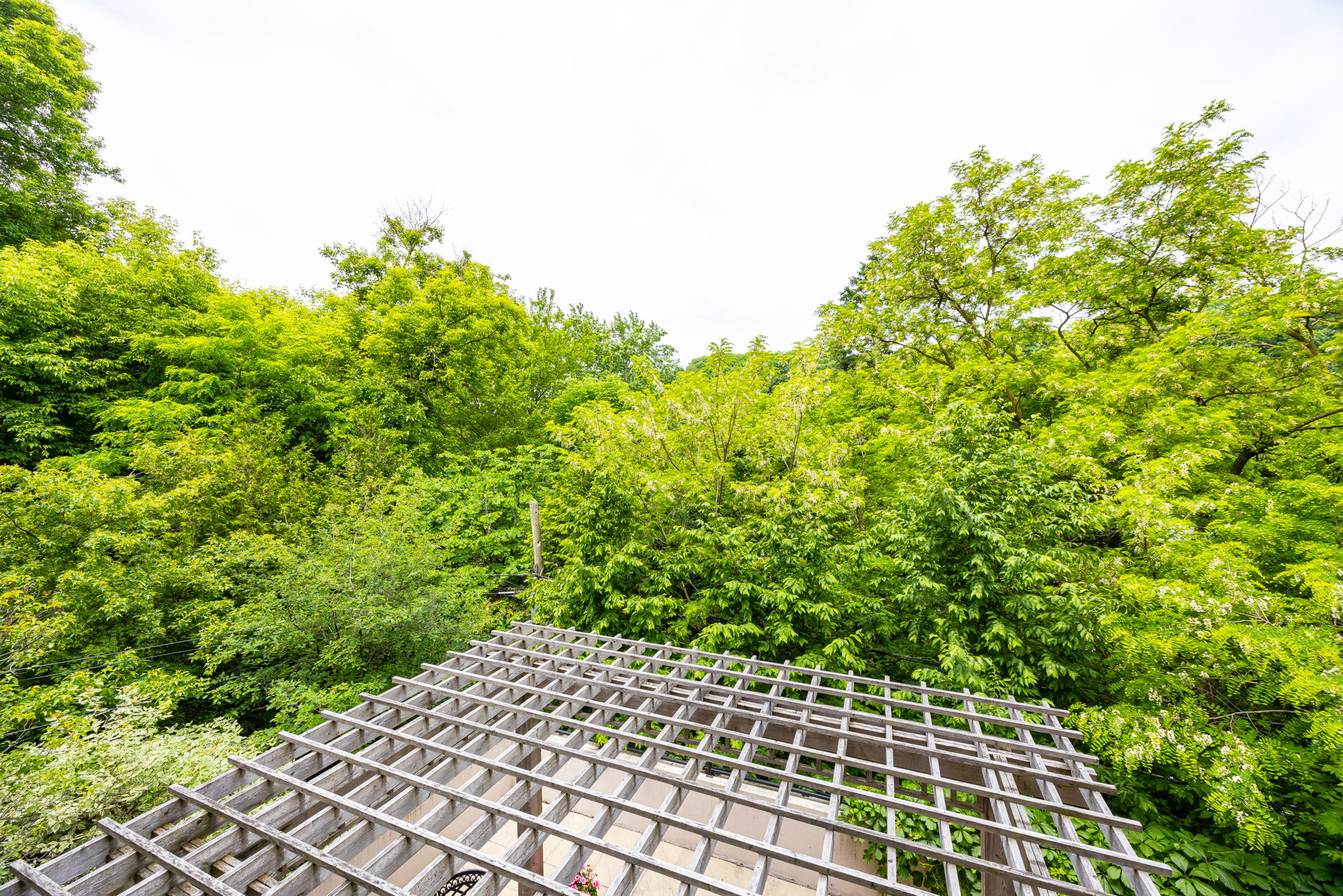 Toronto property showcase — delivered property photograph 27