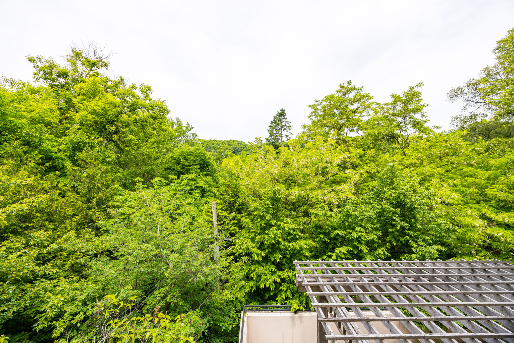 Toronto property showcase — delivered property photograph 30