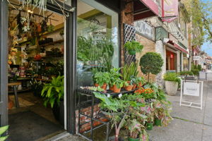 Whatever you're looking for you are likely to find it "Uptown" - under a mile from 580 Upper Mountain Avenue. !