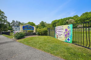 Just blocks away, the Presby Memorial Iris Gardens bloom into a destination all their own - drawing visitors to wander among thousands of irises in every color imaginable.