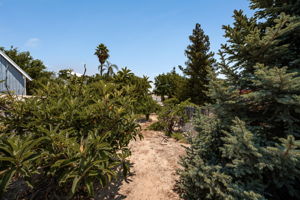  Photo 49