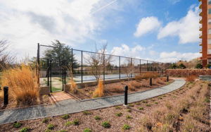 Tennis Courts