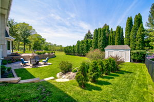 07 Back Yard 3
