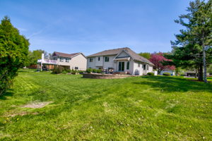 06 Back Yard 2