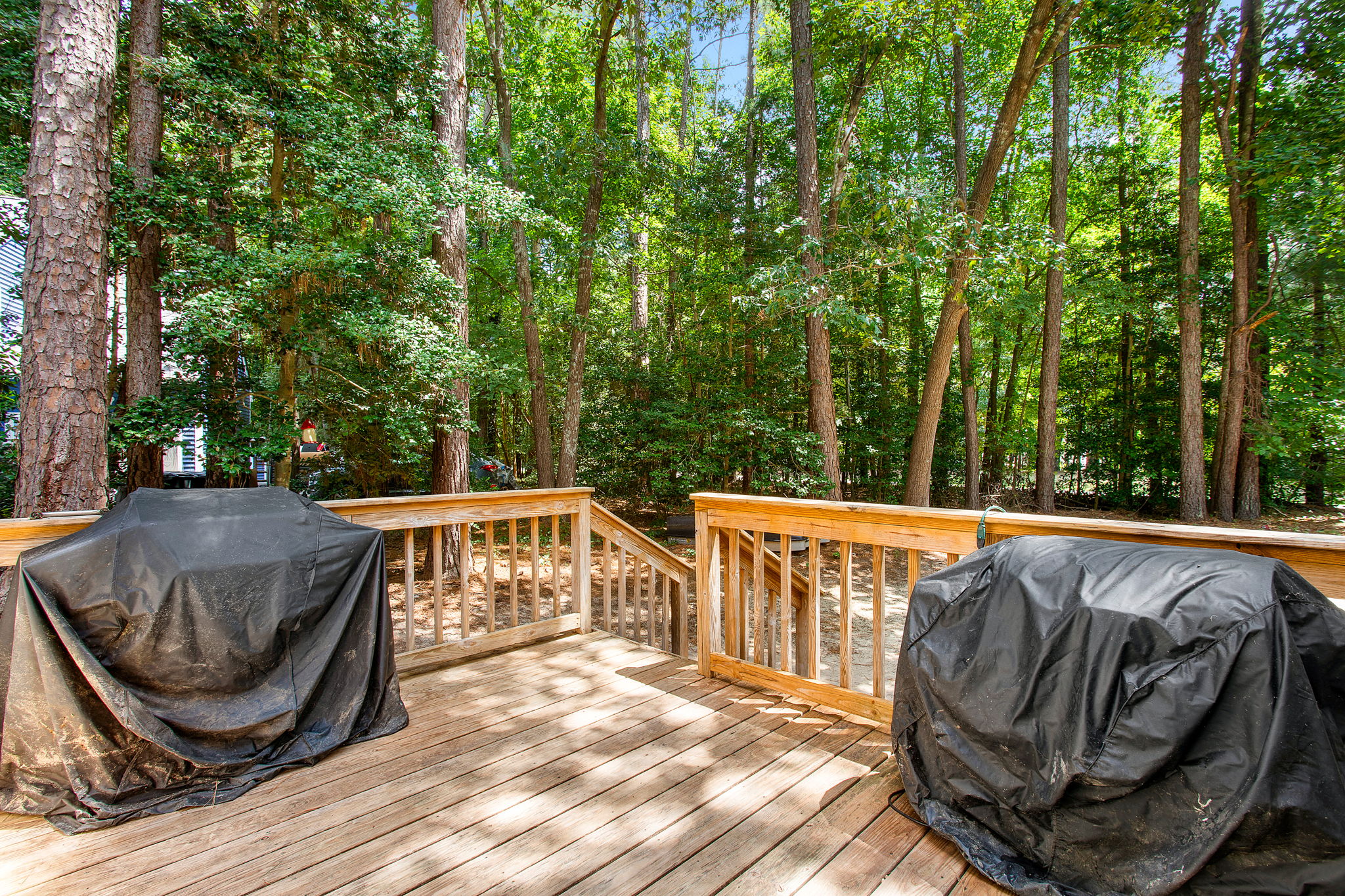 25-Deck