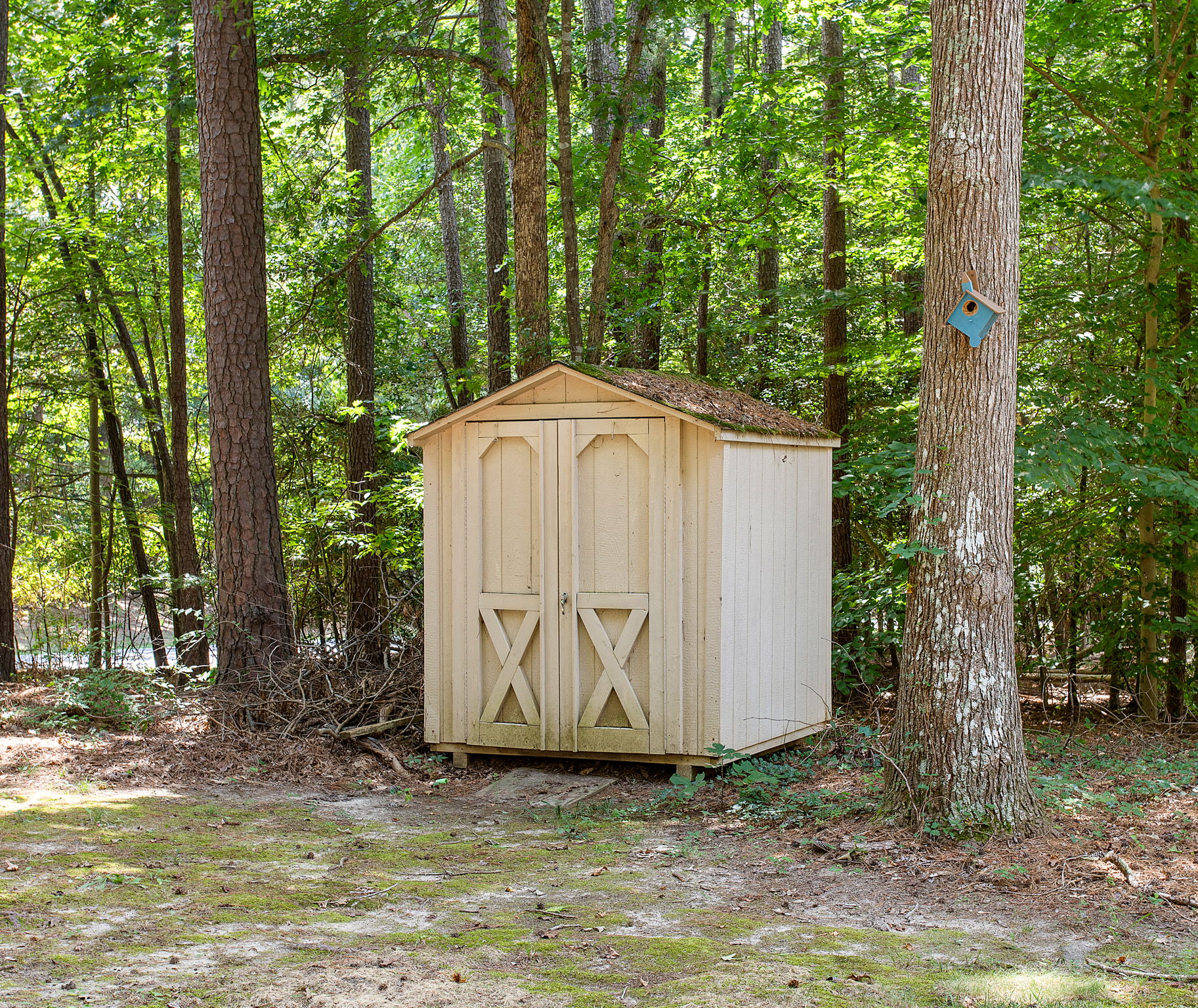 28-Shed