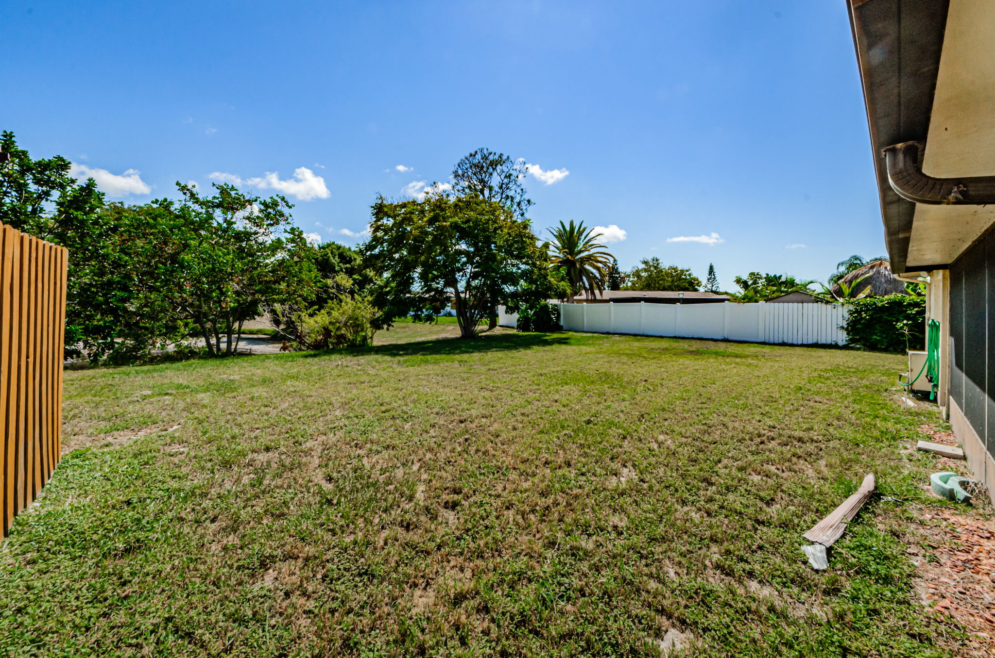 Backyard 4-2