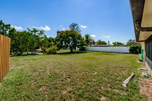 Backyard 4-2