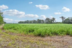 Dunham Rd-075.jpg