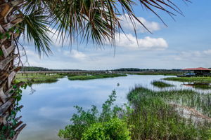  5808 La Roche Ave, Savannah, GA 31406, US Photo 15