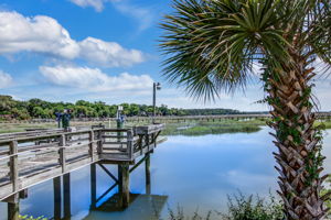  5808 La Roche Ave, Savannah, GA 31406, US Photo 14