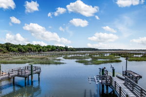  5808 La Roche Ave, Savannah, GA 31406, US Photo 3