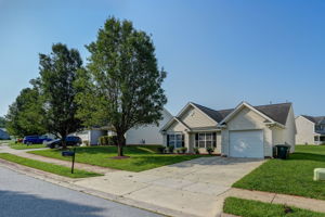 Front Yard