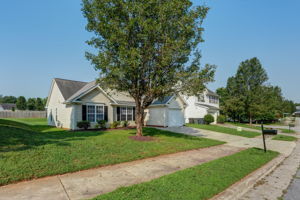 Front Yard