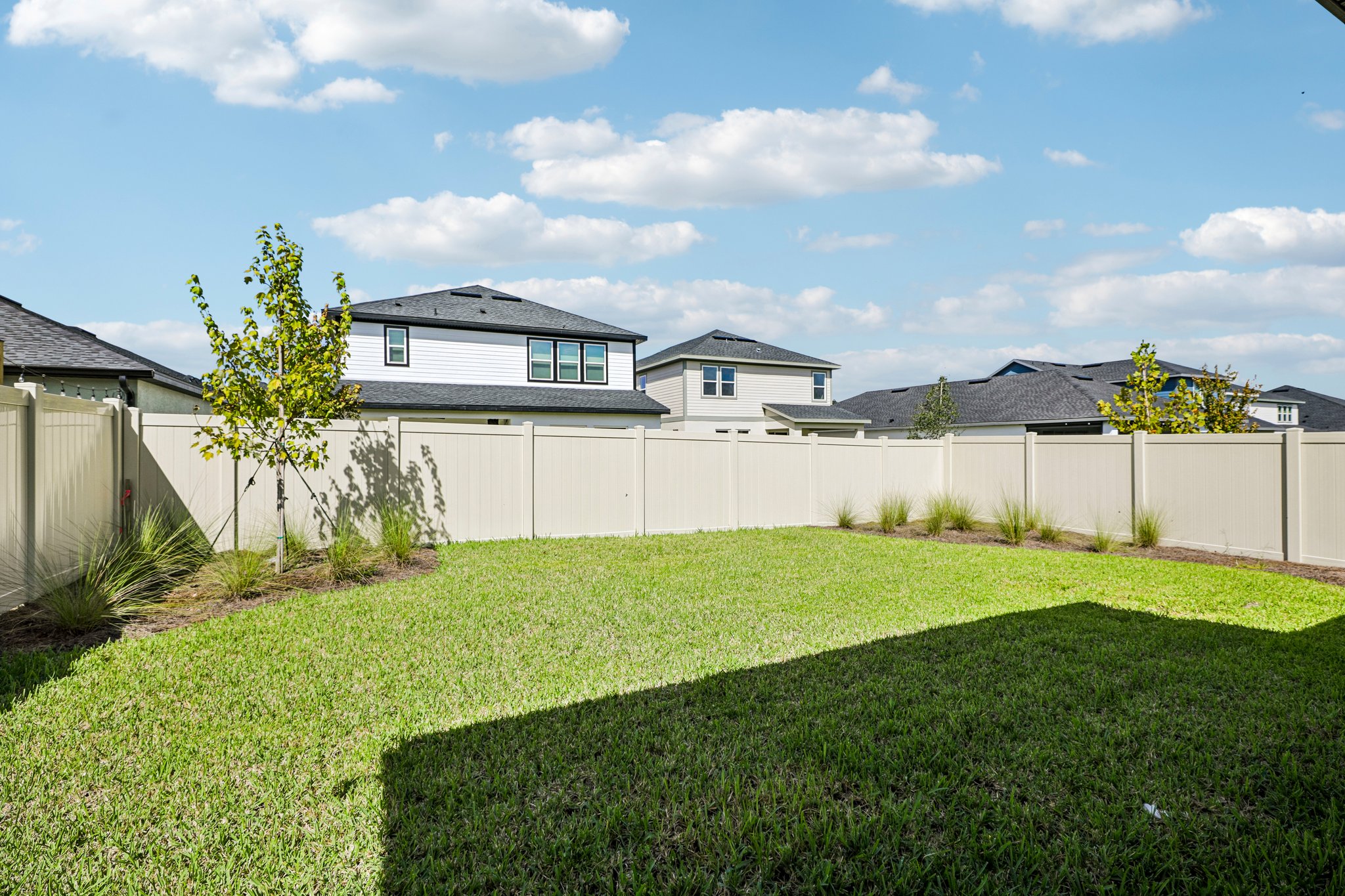 Native Oak St-S1909-071.jpg