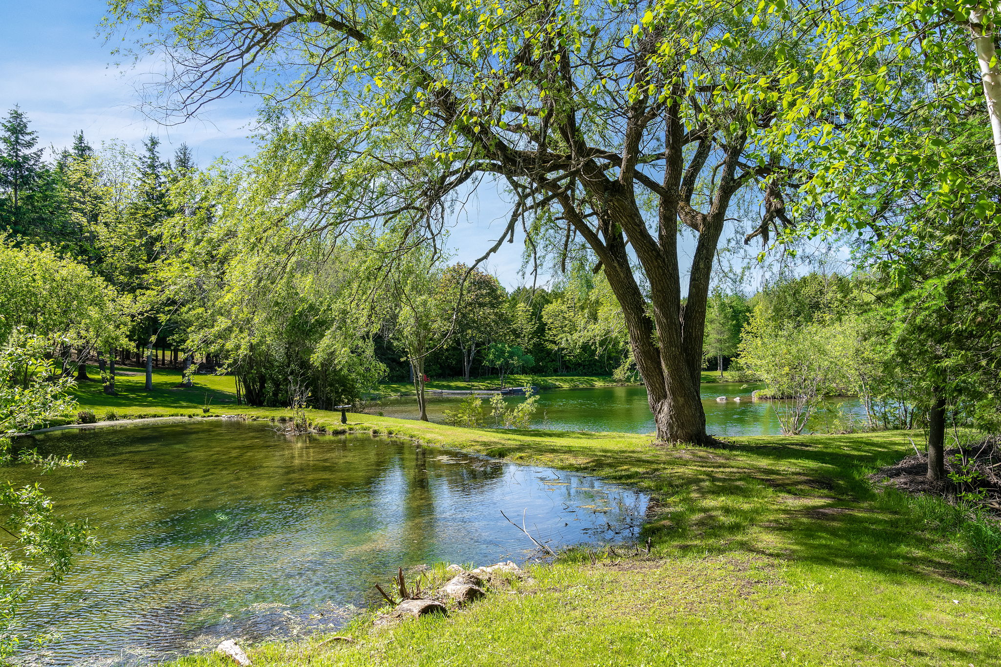  5814 10 Line, Erin, ON N0B 1T0, US Photo 12