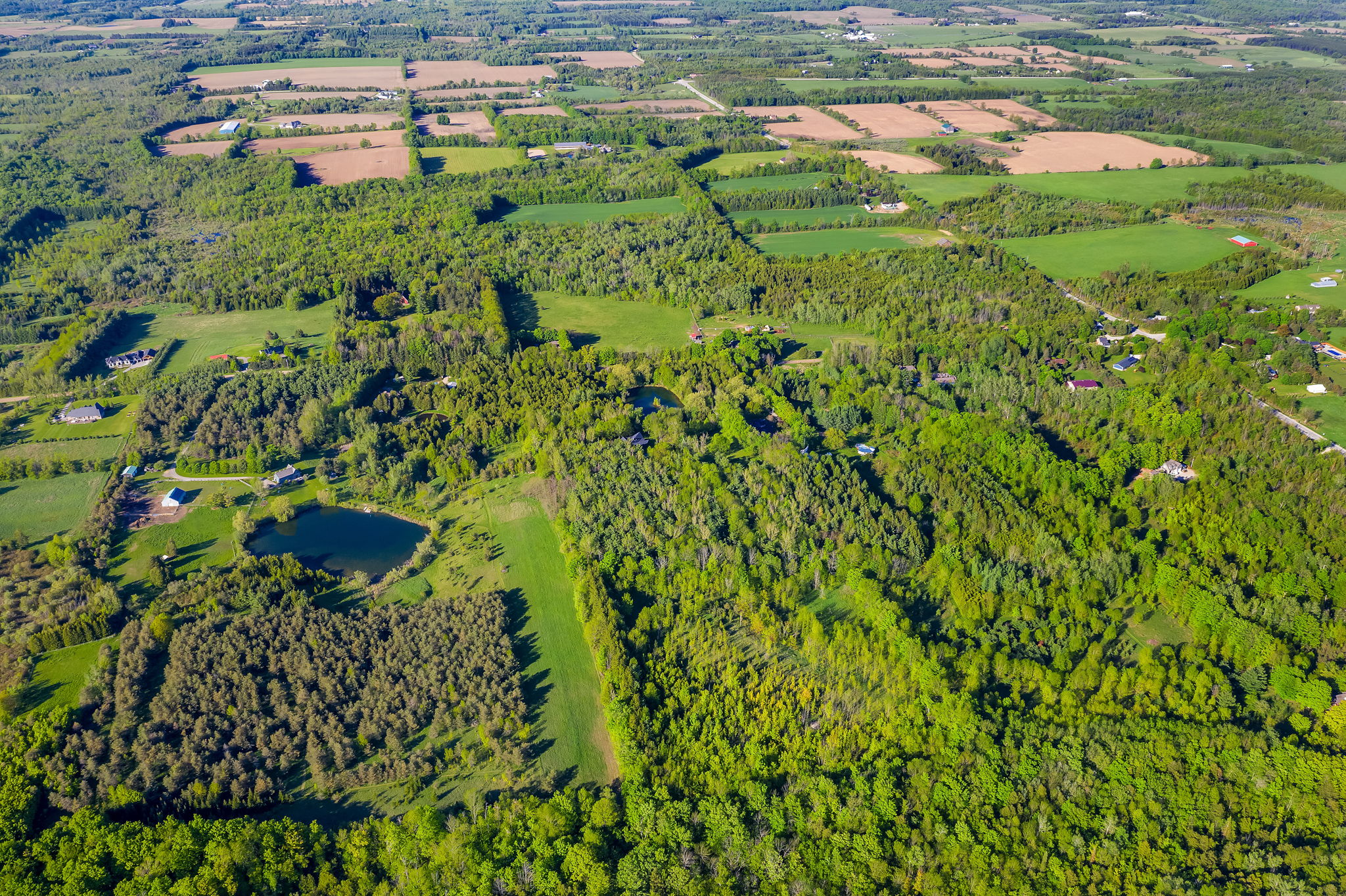  5814 10 Line, Erin, ON N0B 1T0, US Photo 93