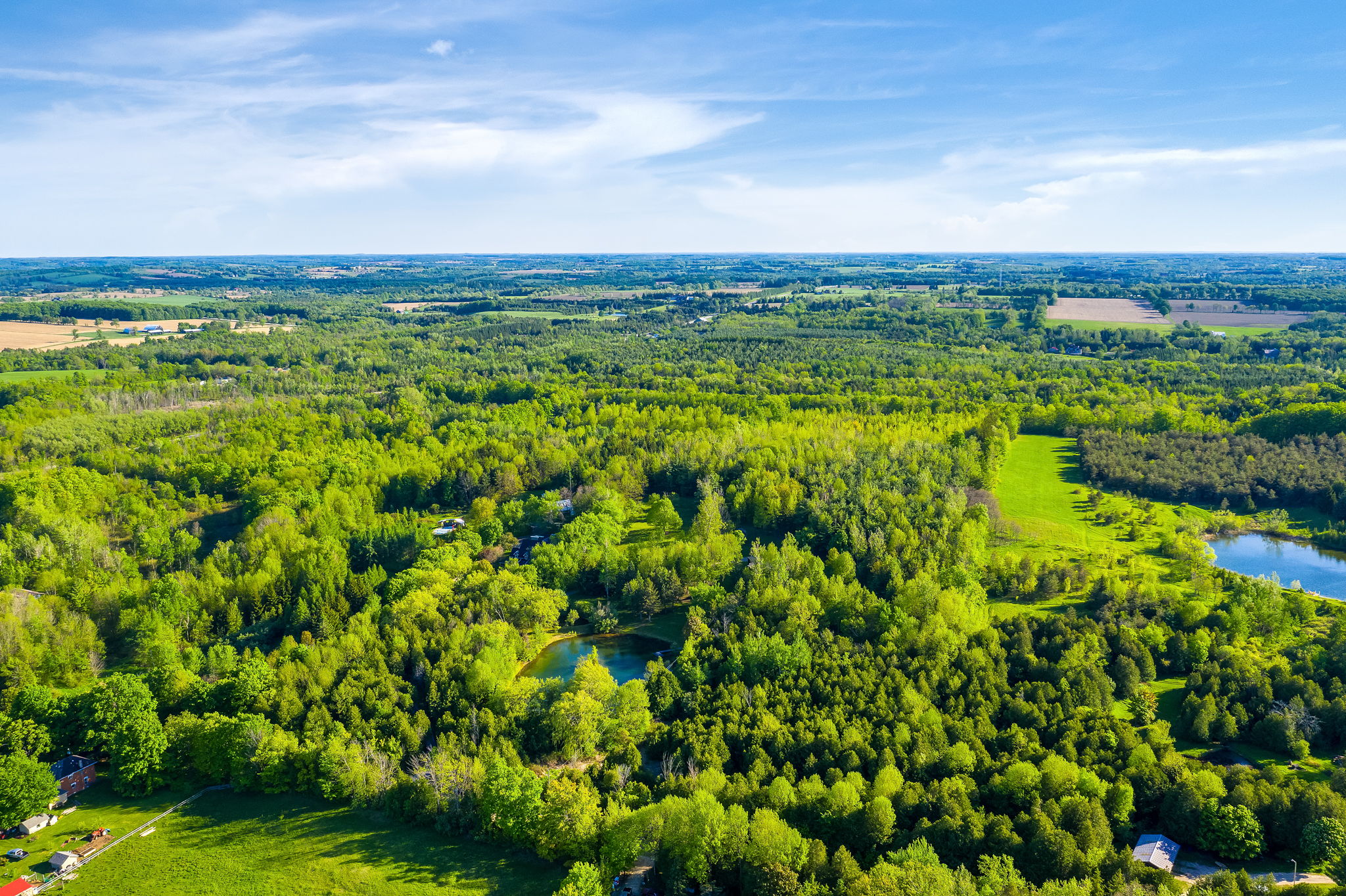  5814 10 Line, Erin, ON N0B 1T0, US Photo 92