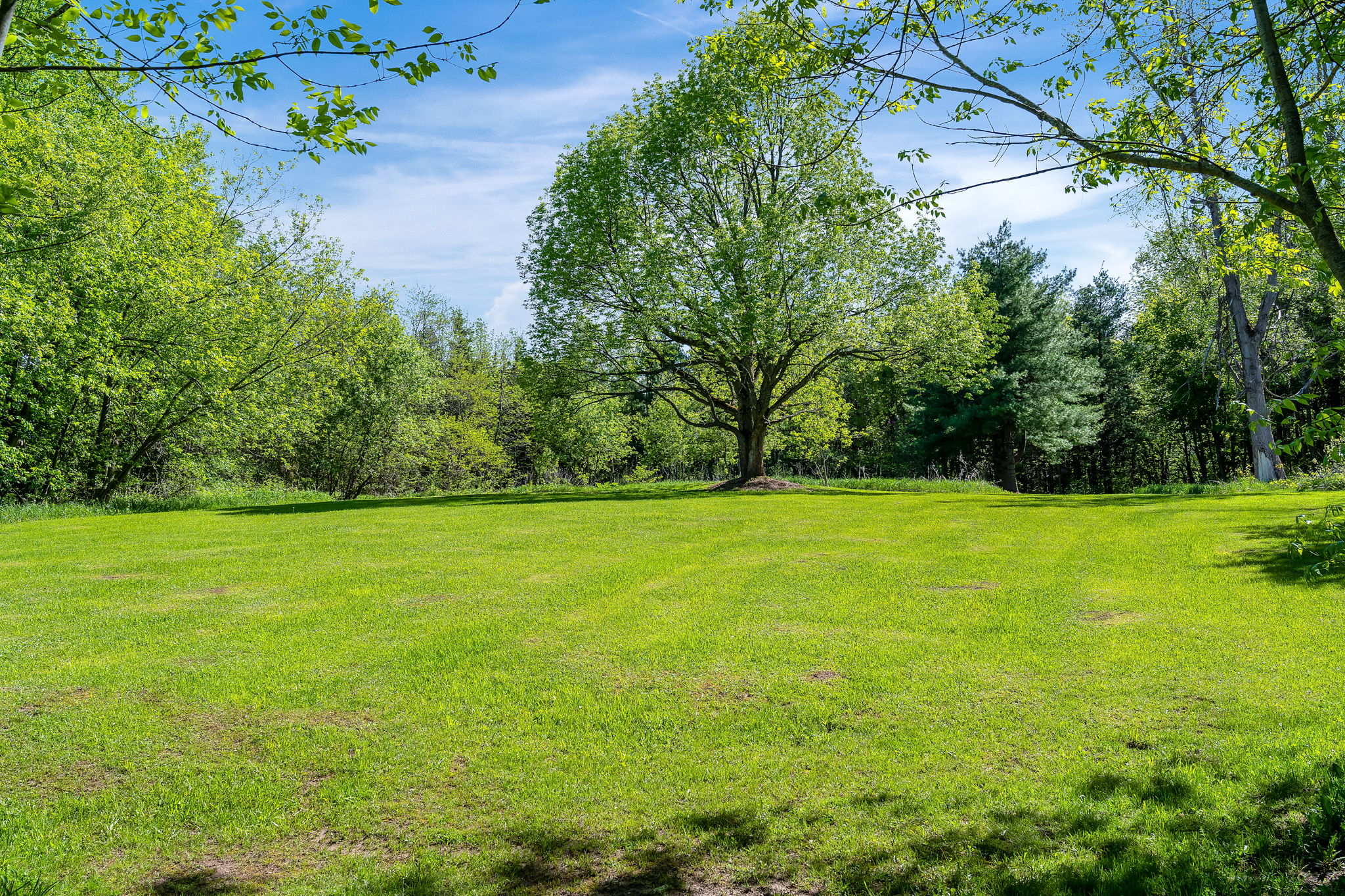  5814 10 Line, Erin, ON N0B 1T0, US Photo 9